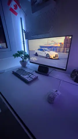 24-inch Koorui LED Monitor with arm desk mount