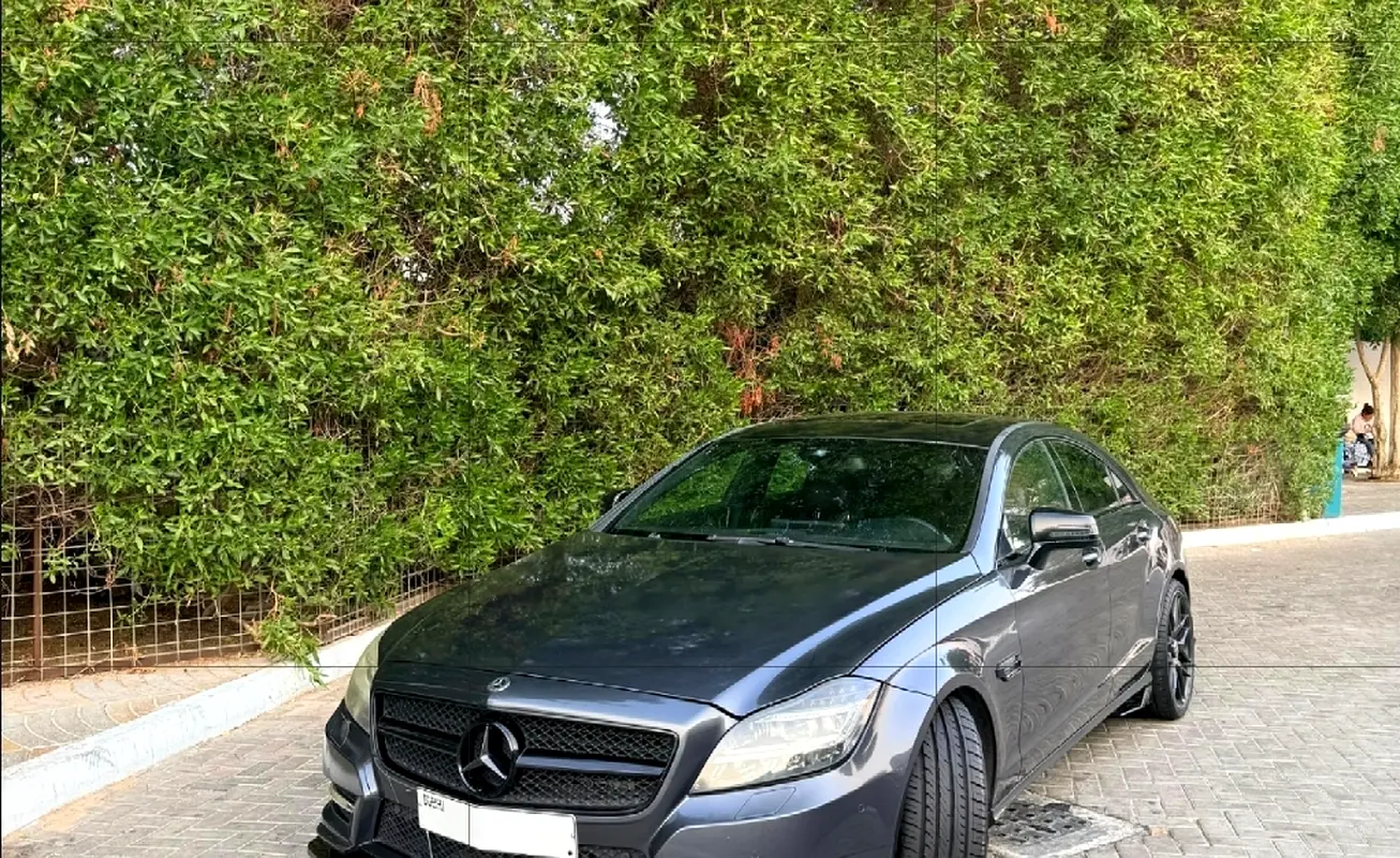 Mercedes-Benz CLS-Class 2012 — photo 1 of 13