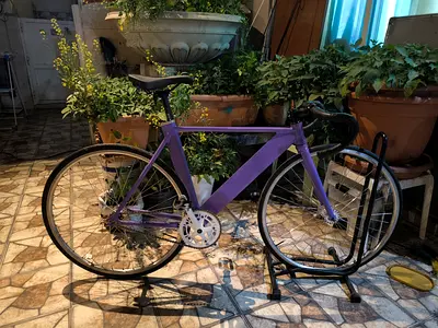 Fixie bike / Fixed gear bike