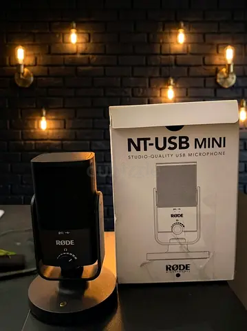 Microphone: RØDE NT-USB Mini