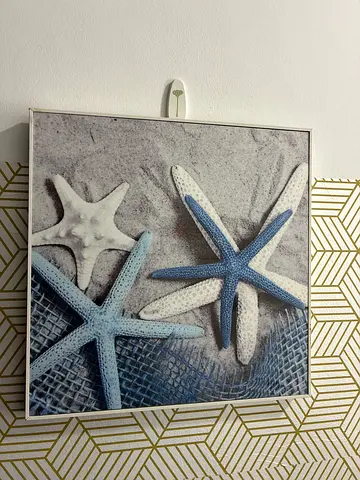 Used Framed Coastal Starfish Wall Art (Square) - Ready to Hang