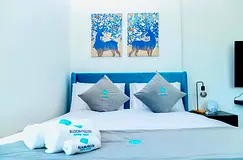 Premium Offer