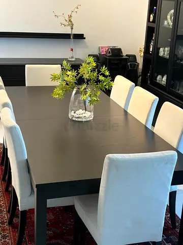 Dining table + 12 Chairs (8-12 persons Extendable) IKEA