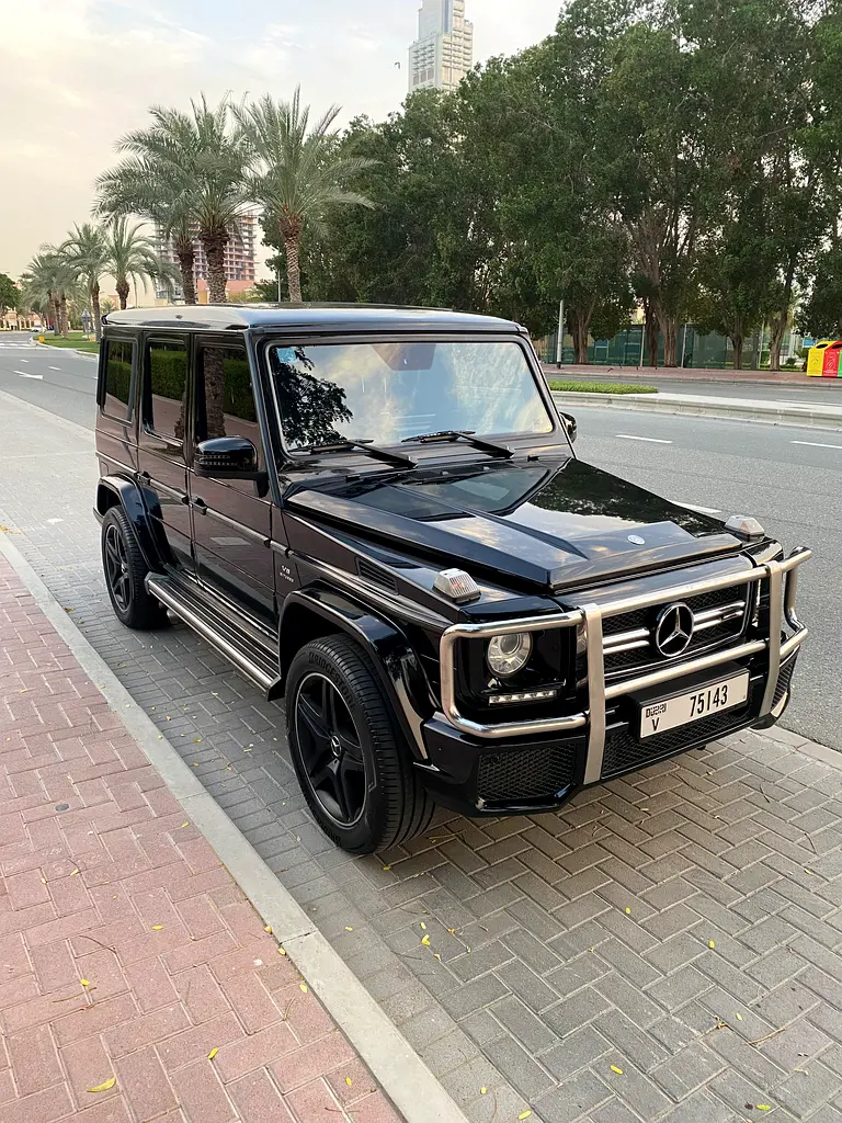 Mercedes-Benz G-Class 2016 — photo 1 of 17