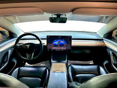 Tesla Model 3 Long Range, миниатюра 13