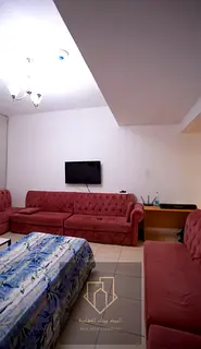 Own a furnished one-bedroom apartment with a living room in Orient Tower C with a special down payme