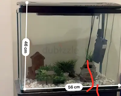 Small Glass Aquarium Tank with Filter and Decorations, stand included - 56x46cm