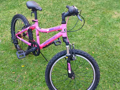 Pink Spartan kids mountain bike — 20 inch, good working condition