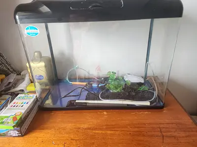 Big Fish tank for sale with Heater and oxidiser and filter