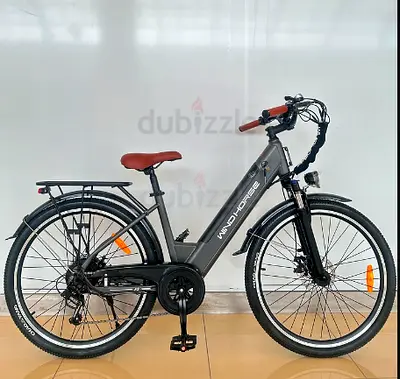 Windhorse F2 Electric Bicycle Black