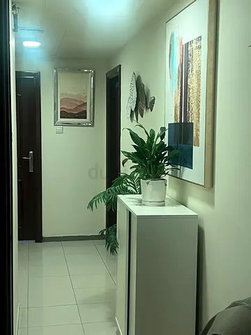 NEW WINDOW PARTITION CLEAN AND NICE FOR FEMALES