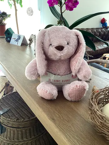 Aroma Home Bethany Bunny Toy with Lavender Microwavable  Brand New