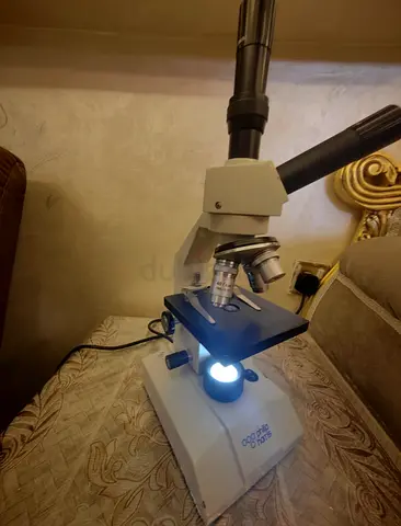 Original Philip Harris Professional Microscope (negotiable) with Glass Slides.