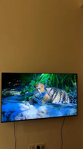 55 Inch 4K, QLED, Google TV, 60Hz, Dolby Vision  Atmos, TSR AiPQ processor