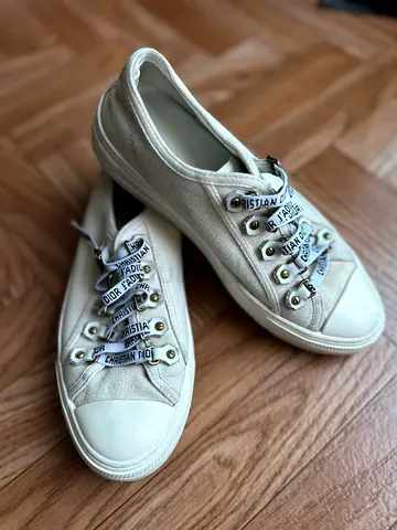 Dior Walk’n Sneakers Canvas White