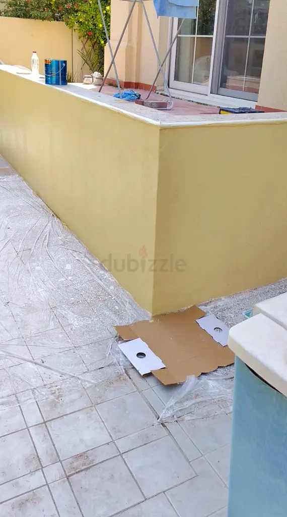 DPV_View_Image_2