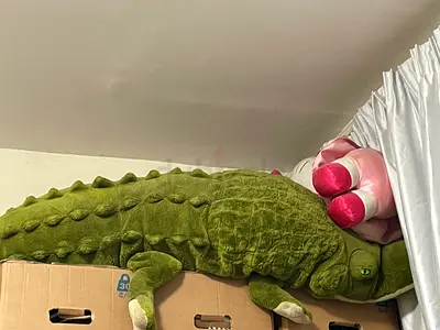 Large green plush crocodile / alligator stuffed toy - good condition