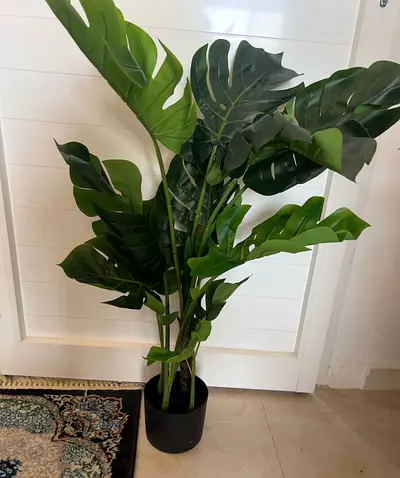 Artificial Monstera Plant - 100 cm high