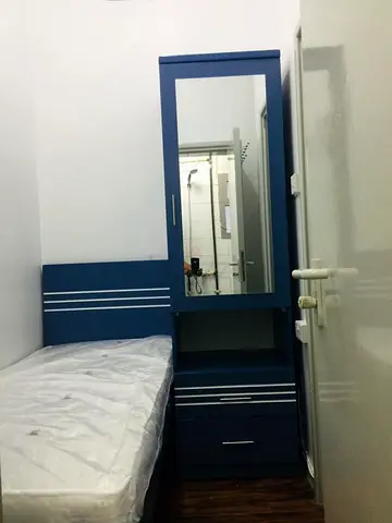 Furnished room available for Indian lady ( Malayali) at  Abu Hail, 50 meters from Abu Hail metro st