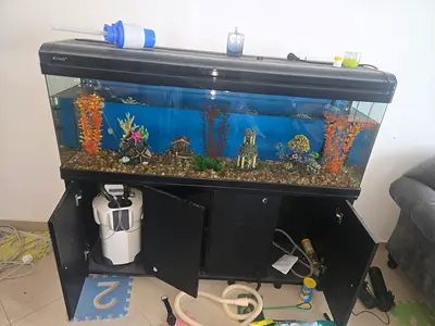 Complete Aquarium Tank with Canopy, Filtration and Accessories - Ready to Use. Price little negotiab