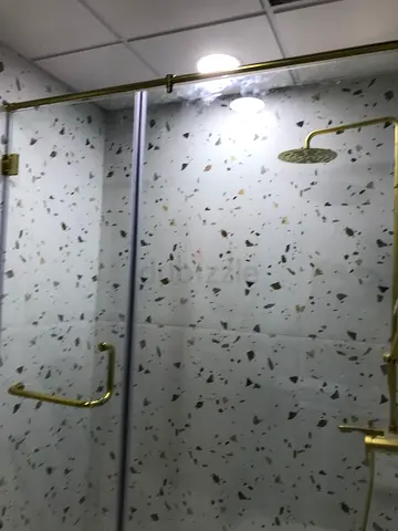 Marden shower glass partition