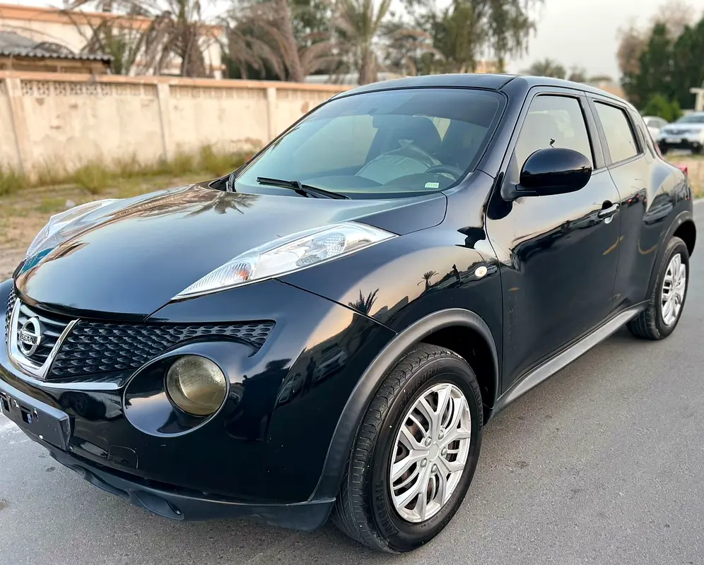 Nissan Juke 2014 — photo 1 of 10