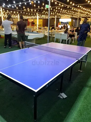 Professional Table Tennis. Table for Sale from Sky Land Company – Great Deal!