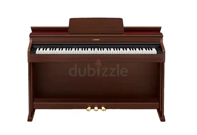 Casio AP-470 BROWN - Brand new