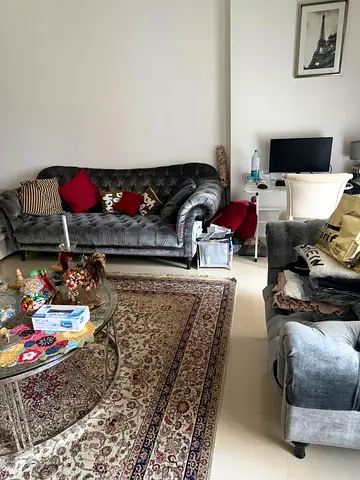 Used Traditional Persian-Style Area Rug - Good Condition