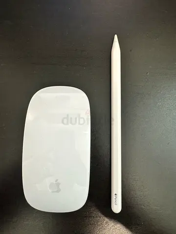 Apple Magic Mouse (USB C) + Apple Pencil (2nd Gen)