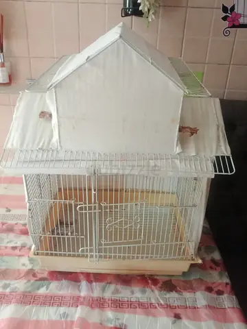 Hut Style Bird Cage