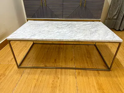 West Elm Marble Top Coffee Table