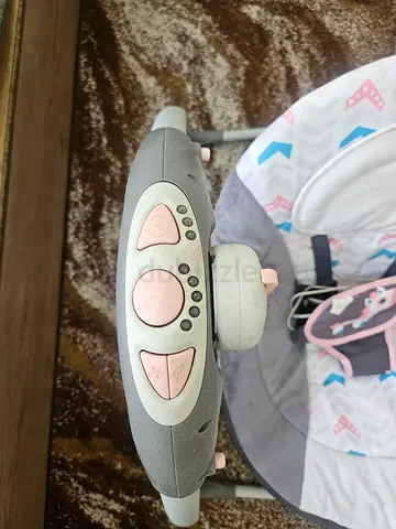 Electric Swing for Sale