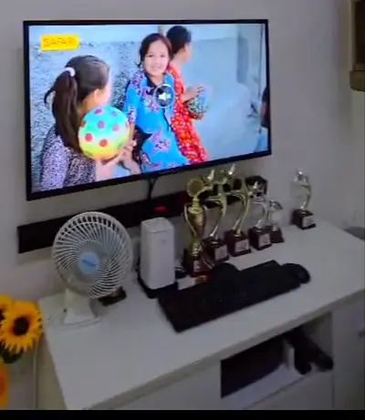 Slim 40-inch Wall-Mounted Flat Panel TV and  stand bar speaker in Good Condition