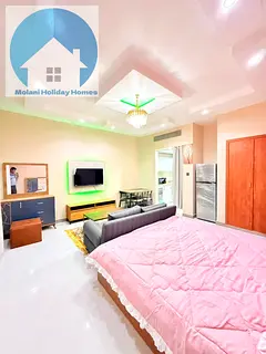 Fully Furnished Renovated apartment in China Cluster