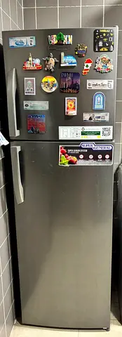 Used super general Top-Freezer Refrigerator - 2-Door, Stainless Finish
