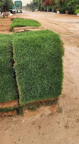 Natural grass 1meter