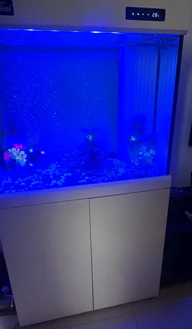 Complete Medium sized Home Aquarium with Cabinet and attractive LED Lighting