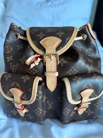 LV excursion backpack