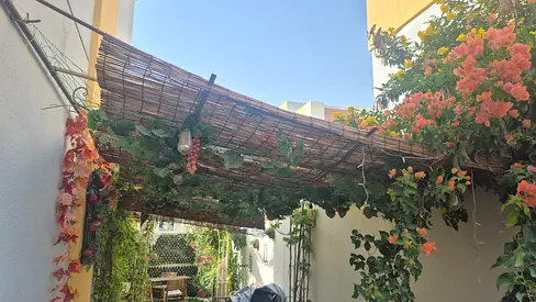 Artificial grape vine panel - decorative greenery for wall or balcony