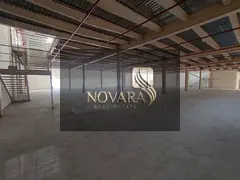 For rent: Prime showroom in Ajman, Al Jurf Industrial Area 3, 31,000 sq ft, with mezzanine and 100 k