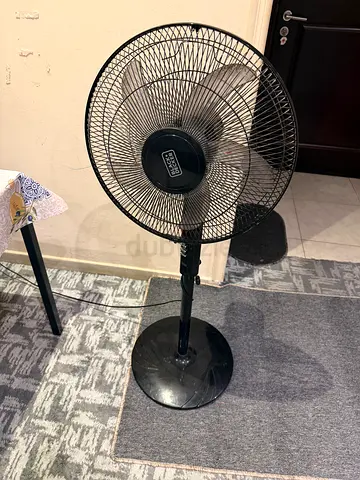 Standing Fan