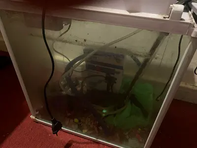 Little used fish aquarium tank with filter and accessories