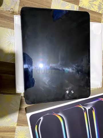 iPad Pro M5 (with box) - New 2 Months Used But Available Good Condition