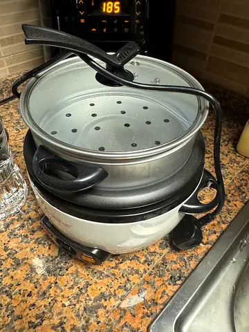 Electric Multi Cooker with Steamer Insert — Used, Working