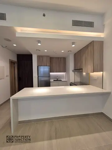 Luxurious Living 1 Bedroom with Kitchen Appliances