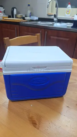 Cool box small