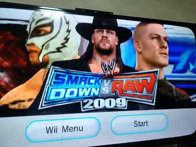 SMACK DOWNVS RAW 2009