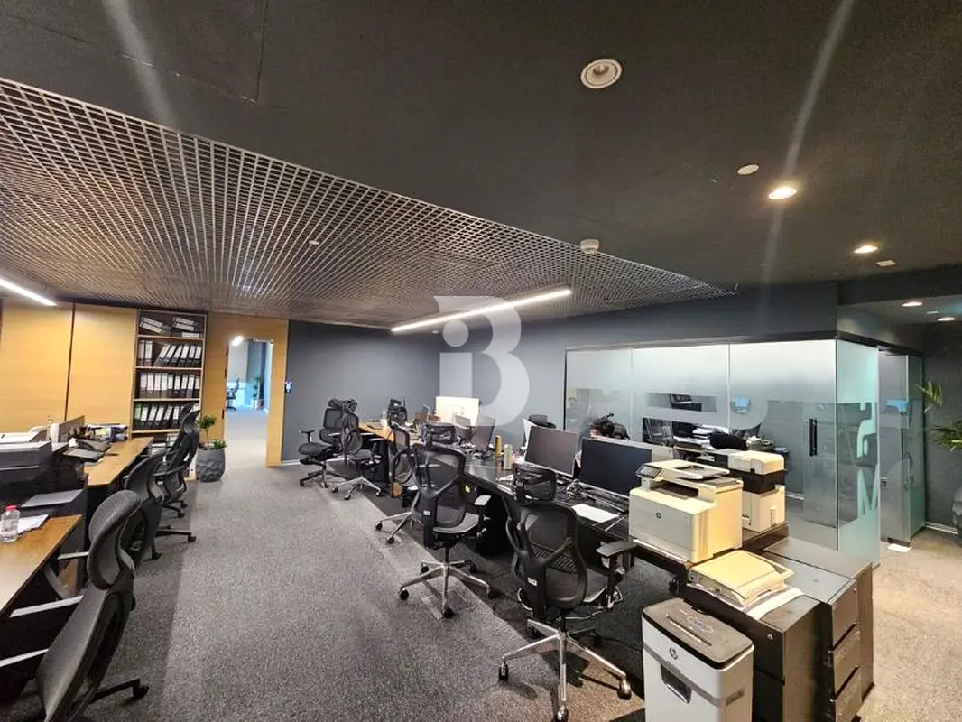 gallery-image