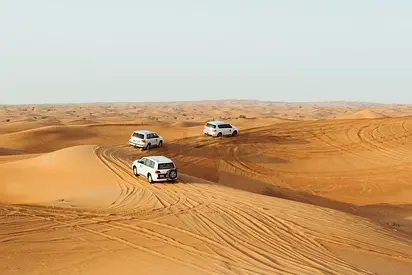 Desert Safari Adventures